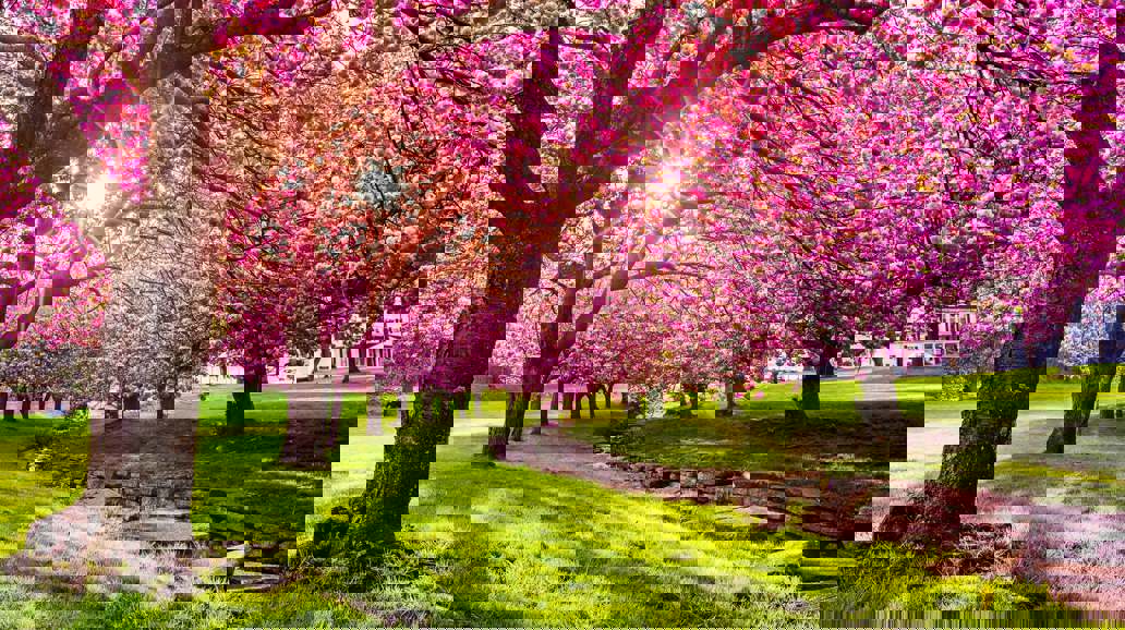 Your Home is Our Home