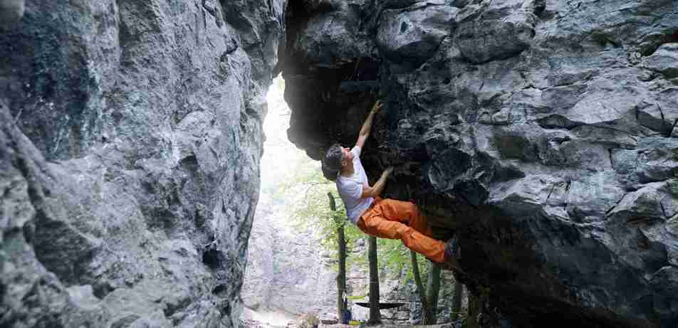 Premier Interest Checking Account